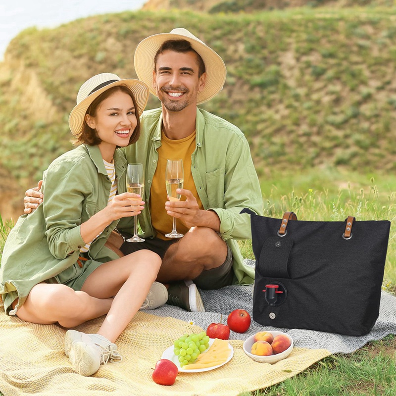 Hot Wine Tote Bag, Beach Coole - Wine Beer Refrigerator review and price
